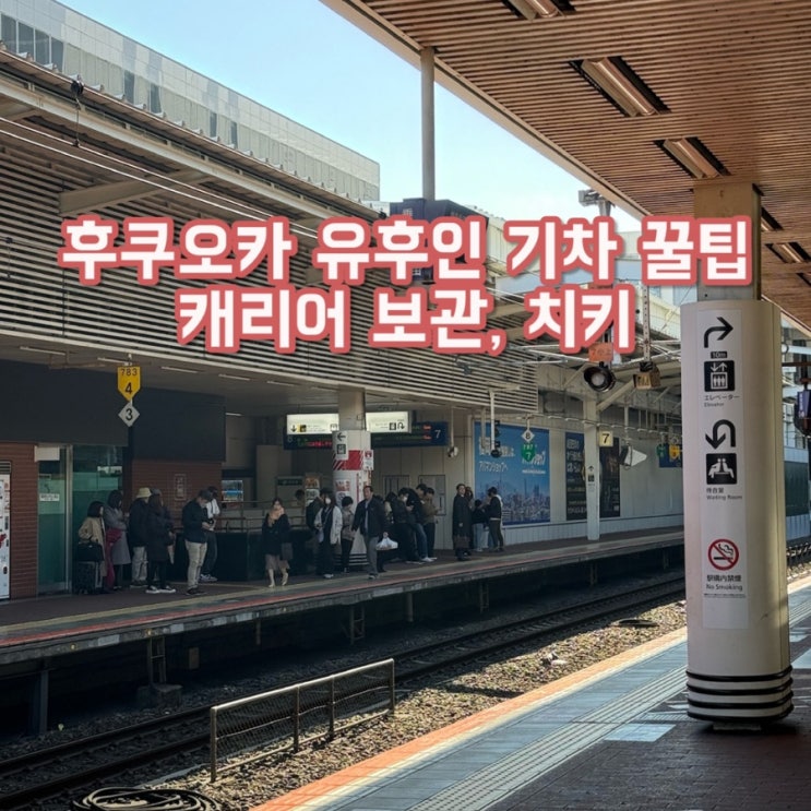  후쿠오카 유후인 기차 꿀팁 | JR유후 특급 좌석지정 & 24인치 캐리어 보관, 치키 서비스 완벽 정리️