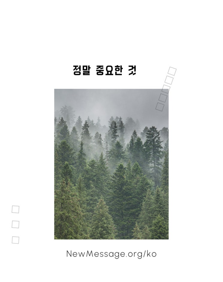  [새 삶으로 가는 다리] 정말 중요한 것