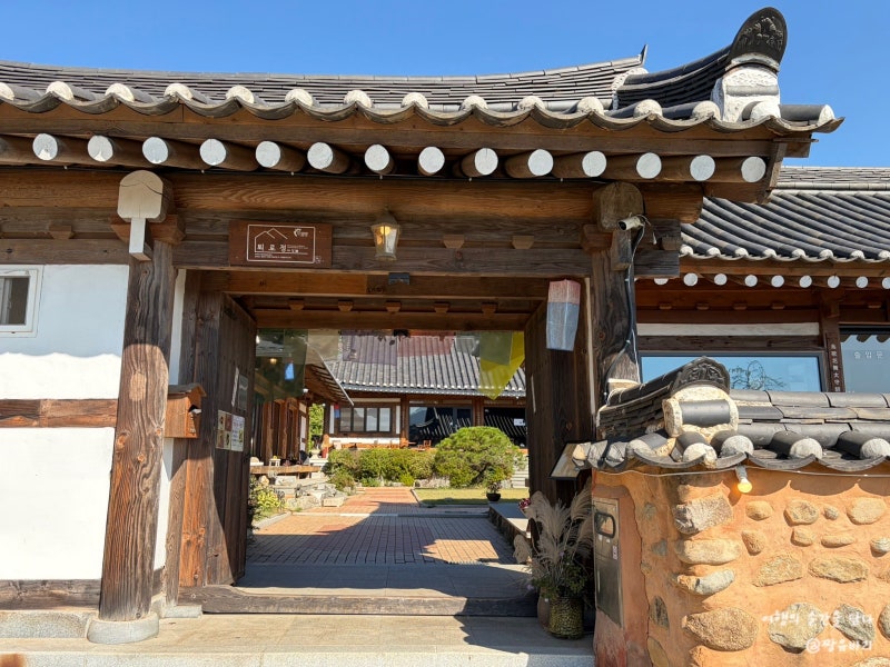 사진 6