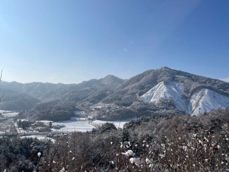 사진 7