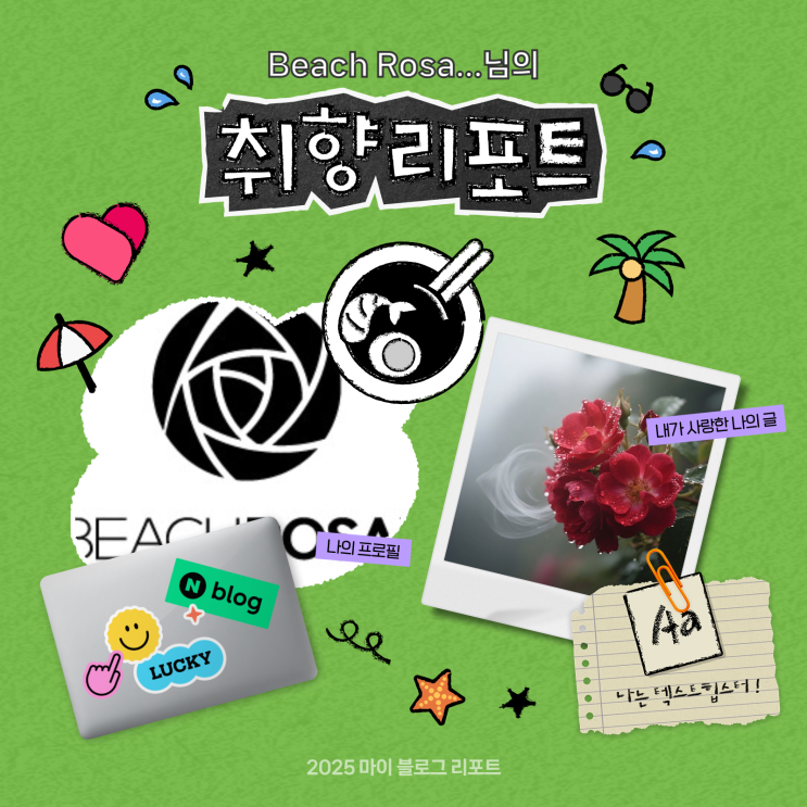  [2025 마이 블로그 리포트] 데이터로 채워보는 내 블로그 취향 리포트