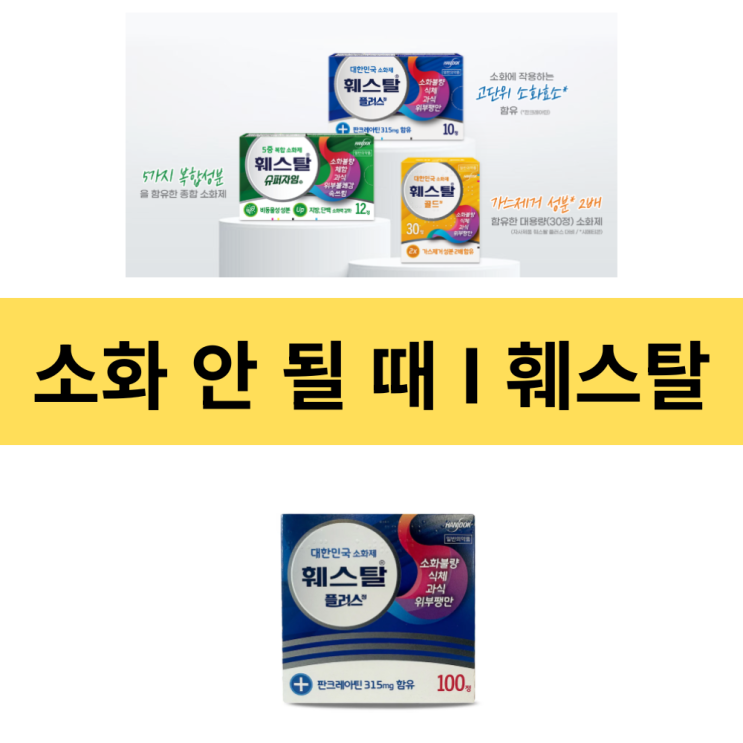  소화안될때 | 췌장이 작은 한국인 | 소화제(훼스탈) 복용 시 건강에 도움이 될까? | 판크레아틴효능