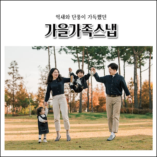 대전 가을 야외 가족스냅 사진촬영 / 11월 억새와 단풍