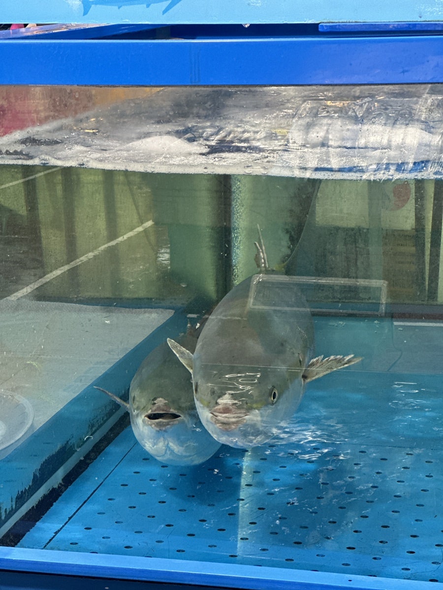 청해수산 사진 1