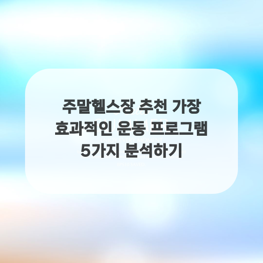  주말헬스장 추천 가장 효과적인 운동 프로그램 5가지 분석하기