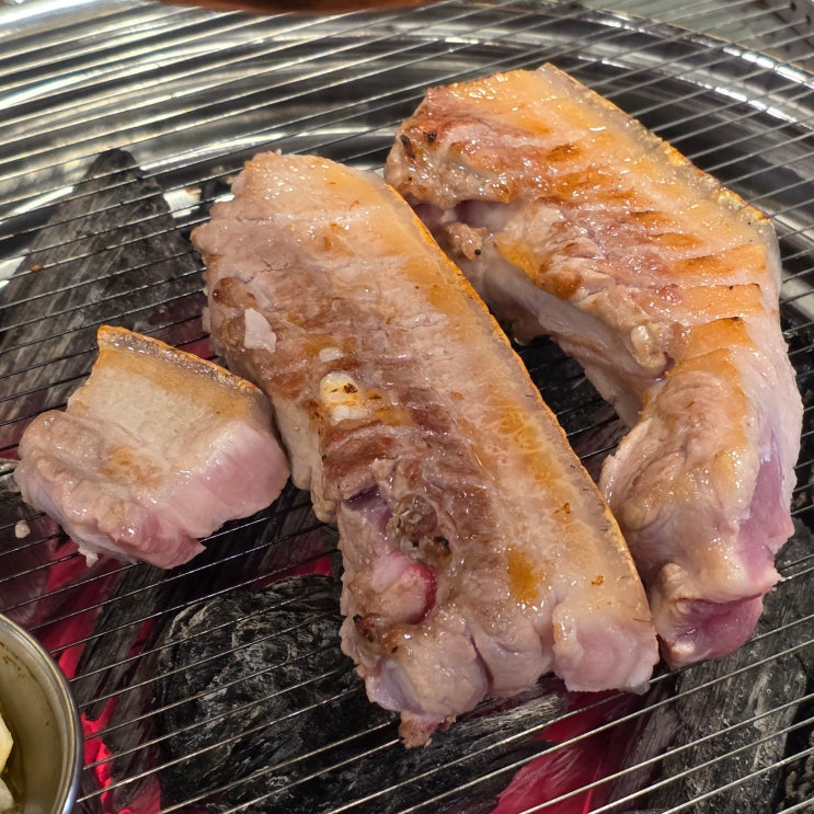  [신촌역 한울타리] 신촌 고기집 내돈내산 추천 - 흑돼지 오겹살 맛집