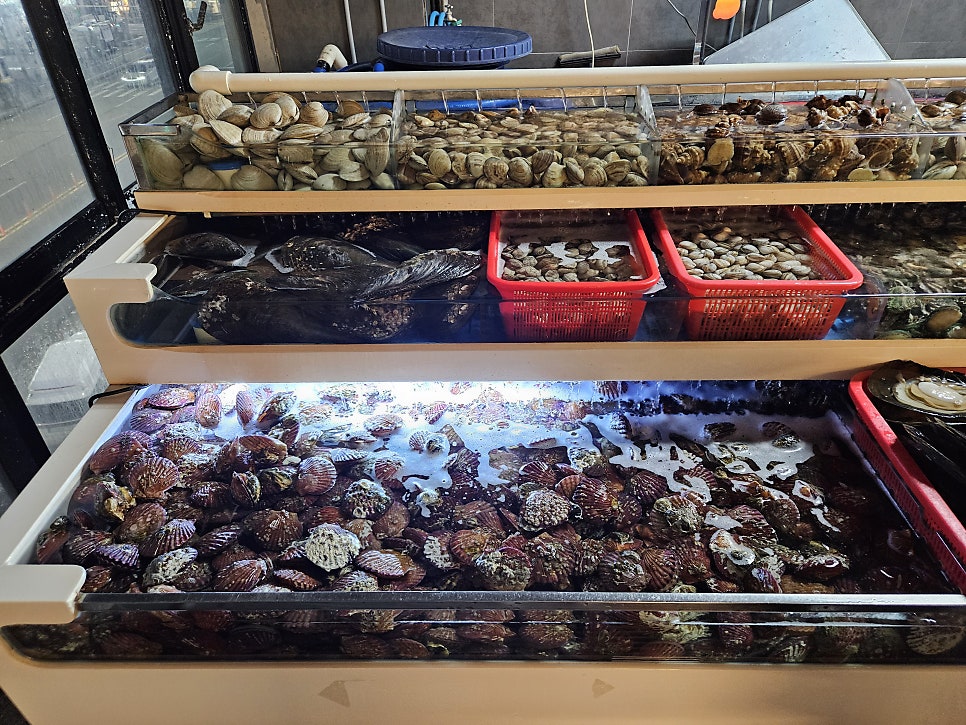 조개창고 안산점 사진 4