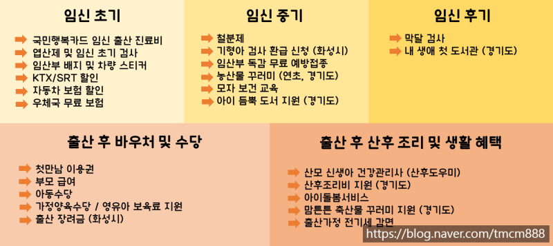 [임산부혜택] 임신 출산 혜택 총 정리(전국공통+화성시)