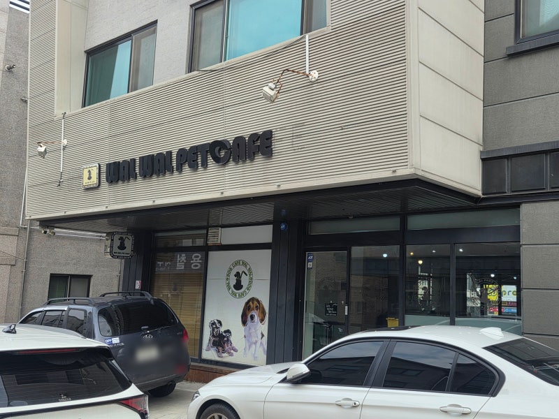 사진 2