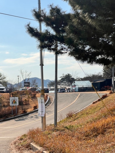 사진 2
