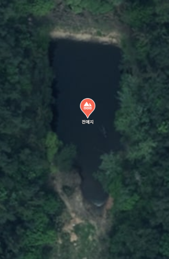 전애지 사진 1