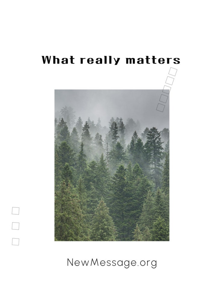  [The Bridge to a New Life]  What Really Matters