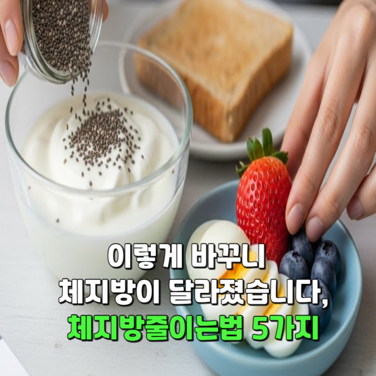  이렇게 바꾸니 체지방이 달라졌습니다, 체지방줄이는법 5가지