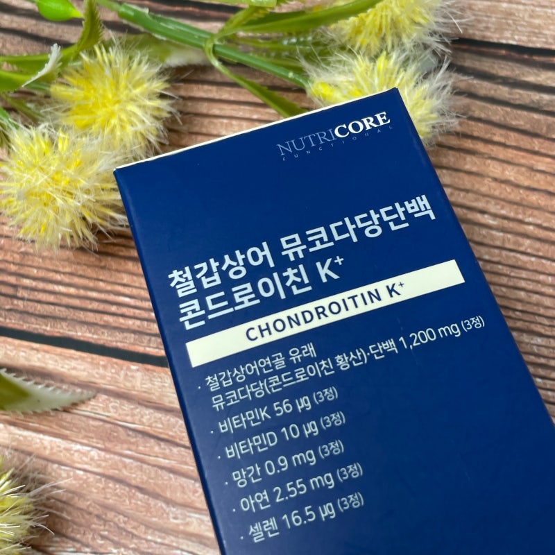콘드로이친 추천 순위 비교한 후기