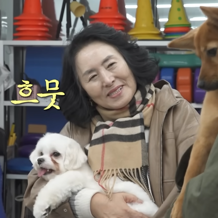  기안84 유기견 보호소 위치 입양 방법