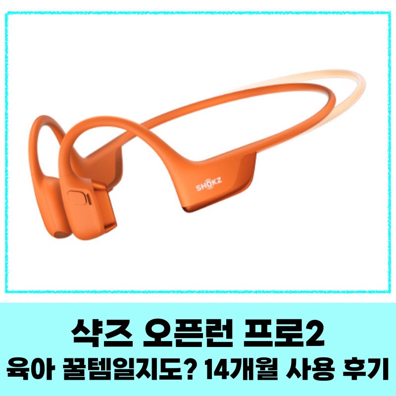 샥즈 오픈런 프로2 (미니), 14개월 사용 후기