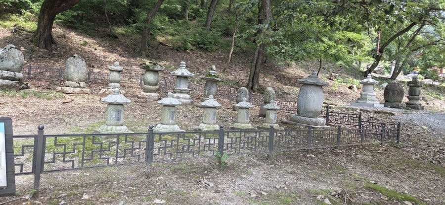 다우등심 사진 3