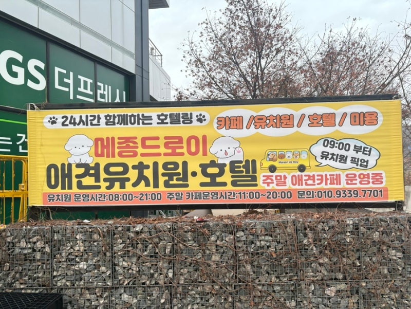 사진 7
