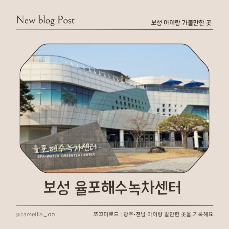  [내돈내산] 전남 아이랑 가볼 만한 곳, 보성 율포해수녹차센터 가족 온천 리얼 후기