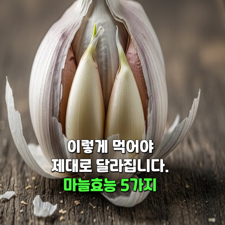  '이렇게' 먹어야 제대로 달라집니다. 마늘효능 5가지