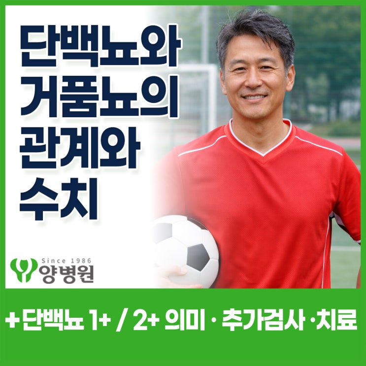  소변에 거품이 많아요.. 단백뇨, 거품뇨 괜찮은 건가요? 단백뇨 1+ / 2+ 의미는 뭘까요?  - 강동역 건강검진센터