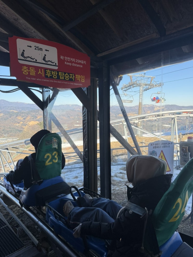  [일상] 야유회 알펜시아 대관령코스터 웰리힐리cc 히든힐스 크리스마스 데이트 세빛섬비스타 남매카페 두쫀쿠
