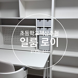 내돈내산 일룸 일룸 로이 책상세트 1200폭 6단