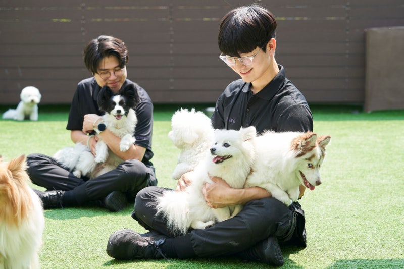 사진 6