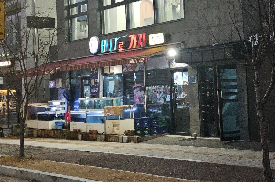 바다로가자 사진 1