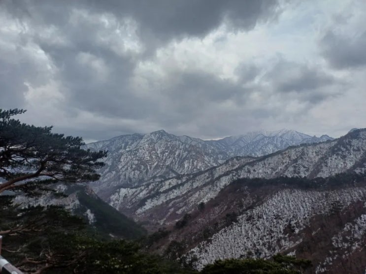  12월29일 주요신문 헤드라인