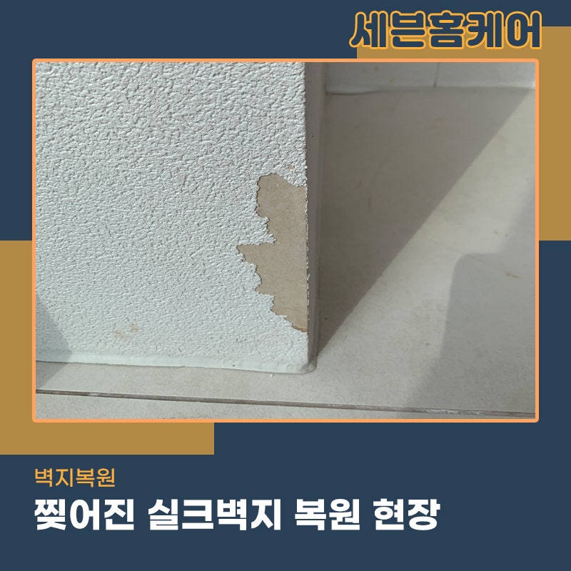 영등포도배업체 강아지가 물어 뜯어 찢어진 실크벽지 복원