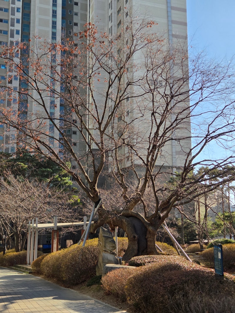 정책지식 2025.12.29. : 네이버 블로그