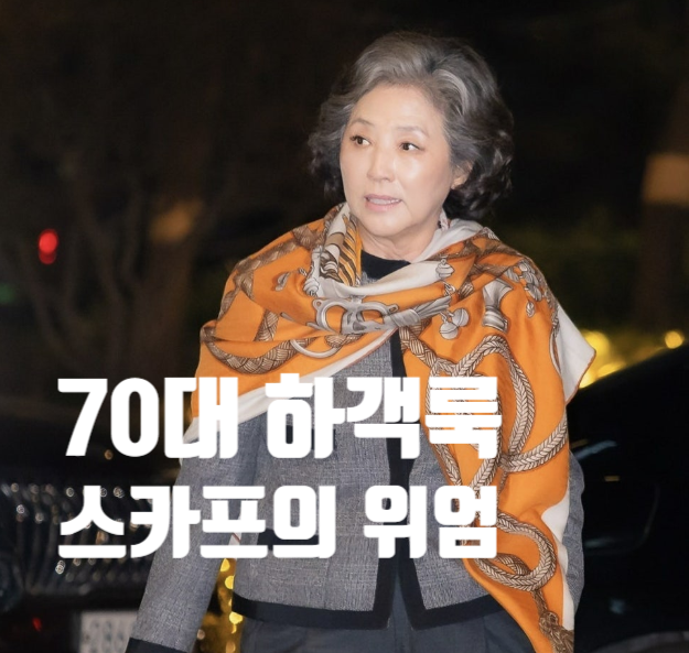  6070 엄마 하객룩 고민끝! 고두심 에르메스 스카프 루이비통 가방 명품 코디