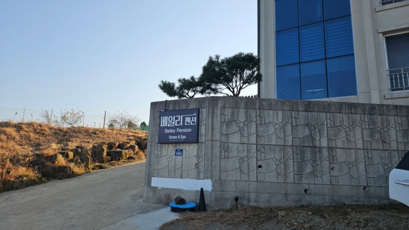 사진 7