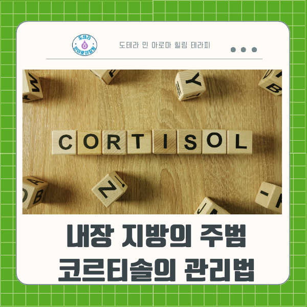  내장 지방의 주범, 코르티솔의 관리법이 중요한 이유