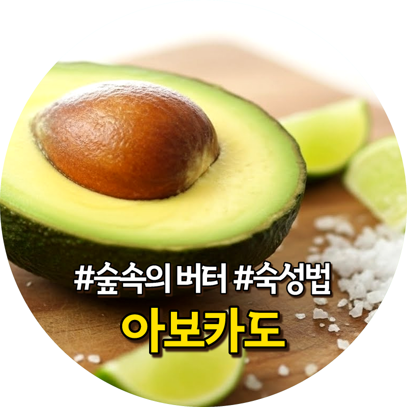 아보카도 추천 BEST 8 효능과 후숙 보관방법 및 주의사항