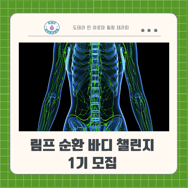  도테라 아로마 오일로 림프 순환 장애부터 해결하세요 (바디 순환 챌린지 1기 모집 )