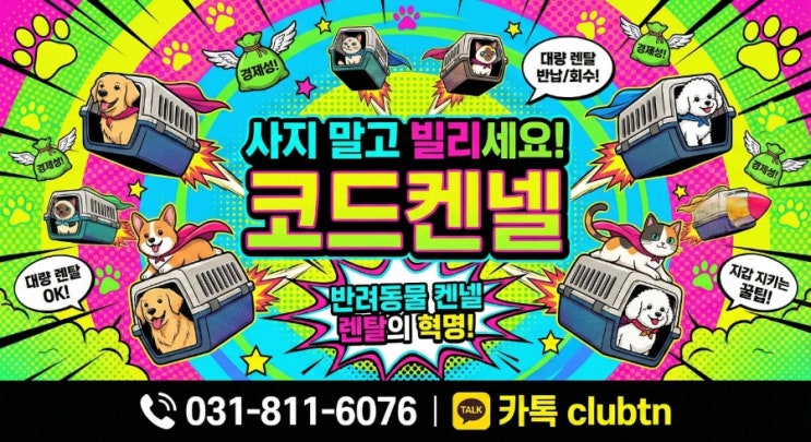  강아지 고양이 대형견 켄넬 렌탈 및 이동장 대량 대여 이사 촬영 소품 대여 픽업 서비스 (전국 배송/회수) - 코드켄넬