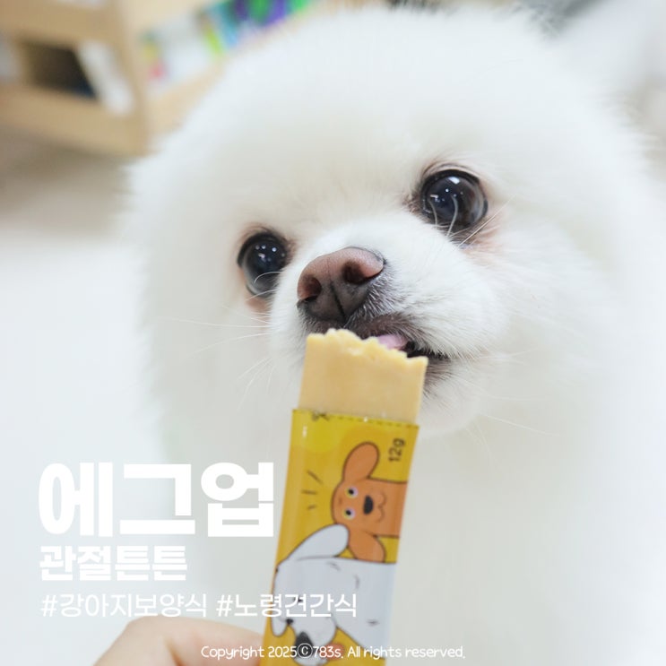  노령견 영양제 대신 선택한 에그업 관절튼튼 짜먹는 간식