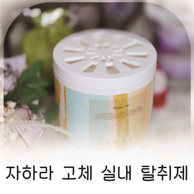  자하라 블랑드 고체 탈취제로 완성한 쾌적한 집 분위기
