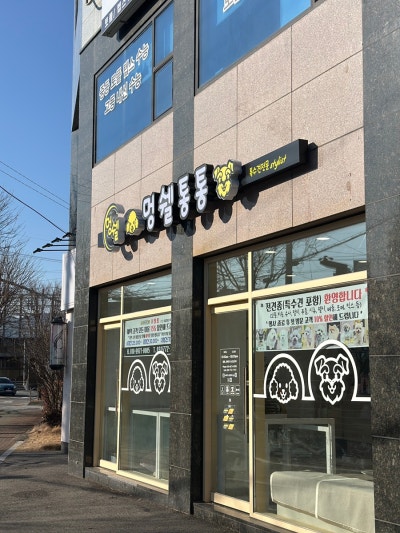 사진 2