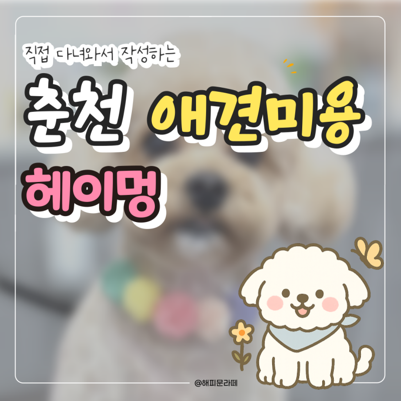 사진 5