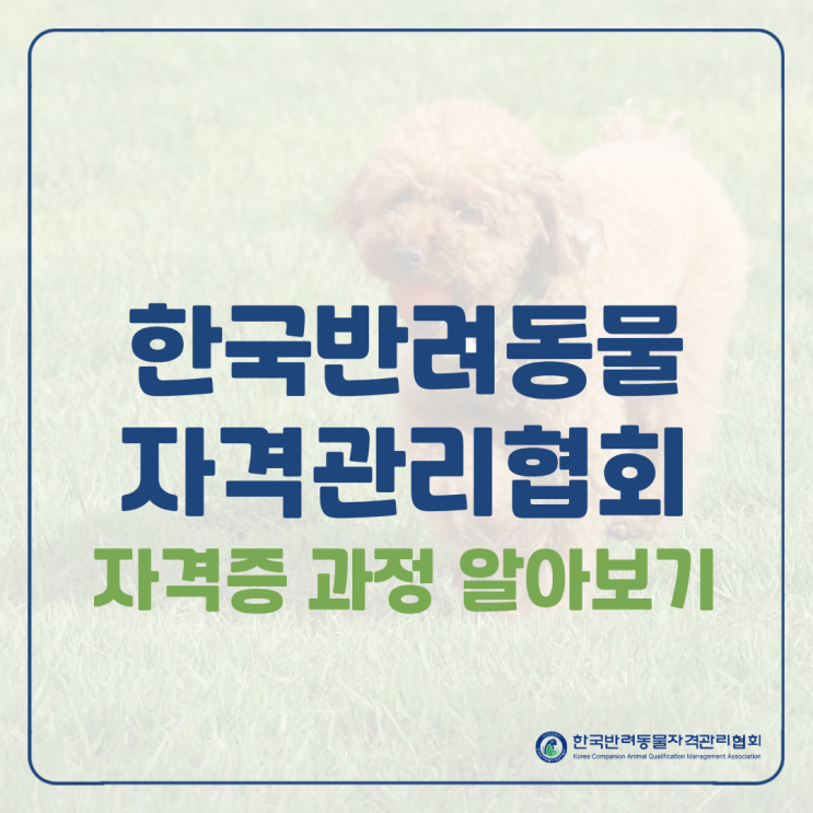  한국반려동물자격관리협회(한반협) 자격증 과정