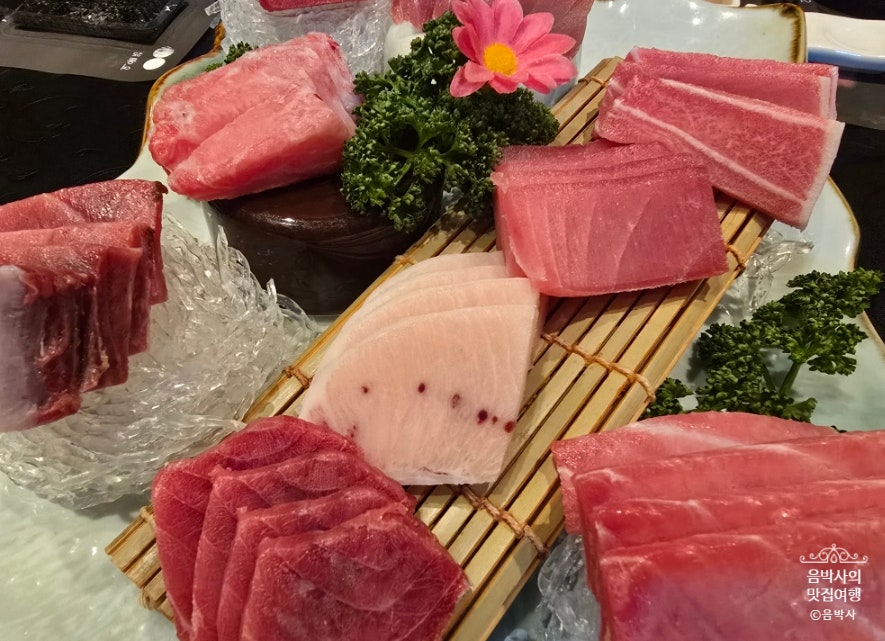 선참치 사진 1