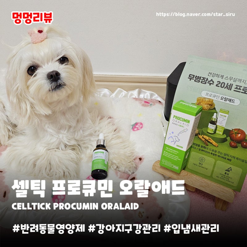 강아지구강영양제 셀틱 | 프로큐민오랄애드 잇몸 치아관리 기호성 완벽 추천