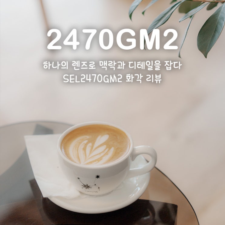  [트리니티앰배서더] 하나의 렌즈로 맥락과 디테일을 잡다. SEL2470GM2 화각 리뷰