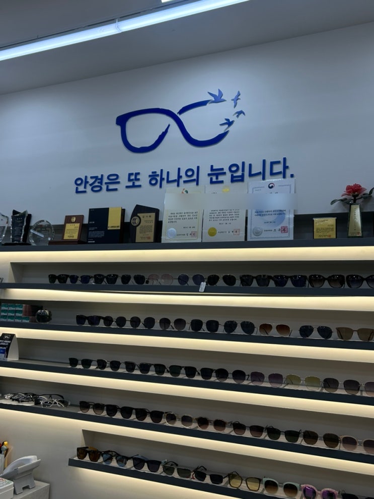  신논현역안경 하늘안경콘택트에서 안경 맞춘 후기