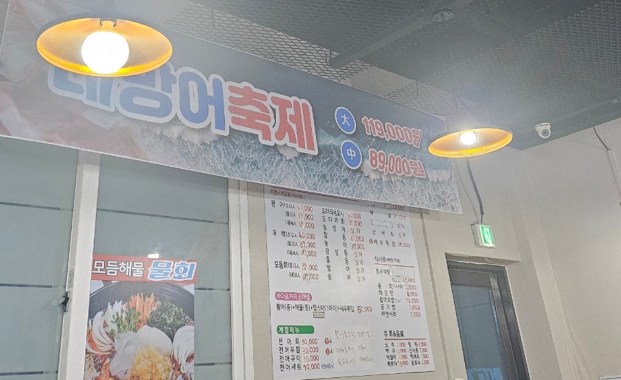 바다로가자 사진 4