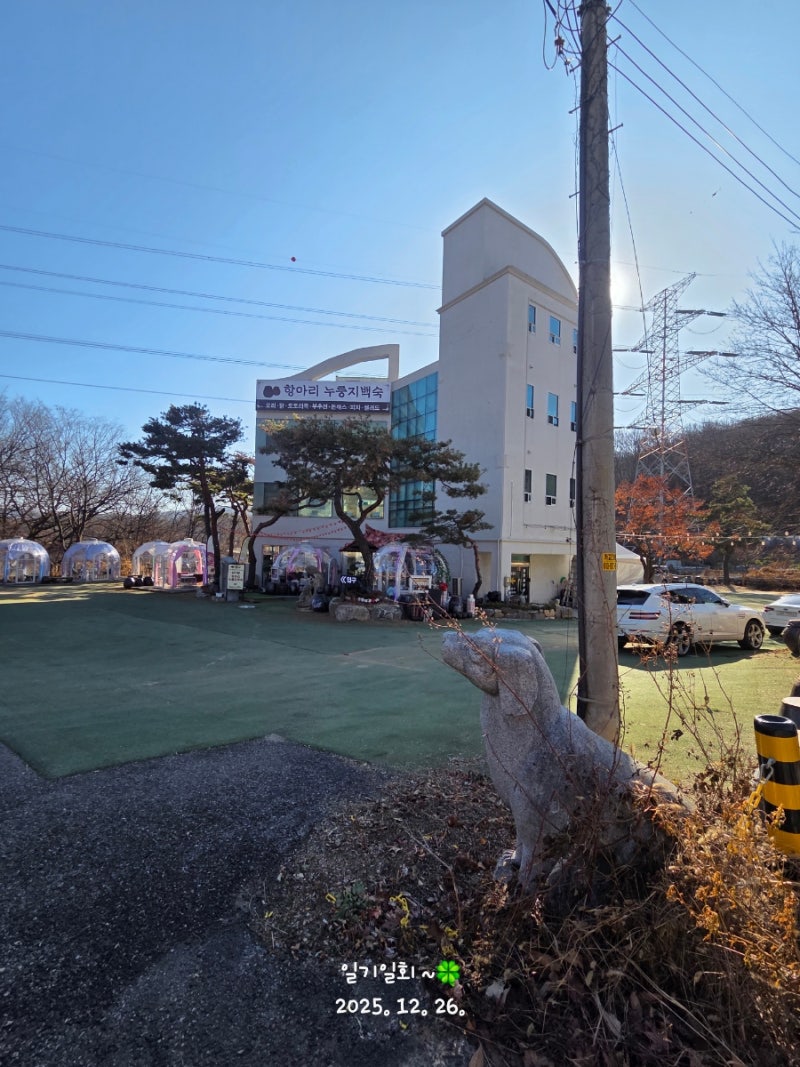 사진 2