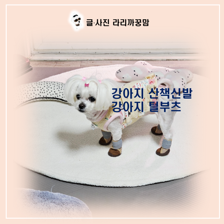  강아지 신발만 신으면 얼음이 되는 아이 이렇게 해봐요!